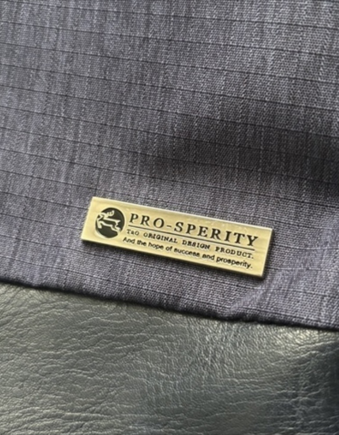 PRO-SPERITY  リュックサックの写真2枚目