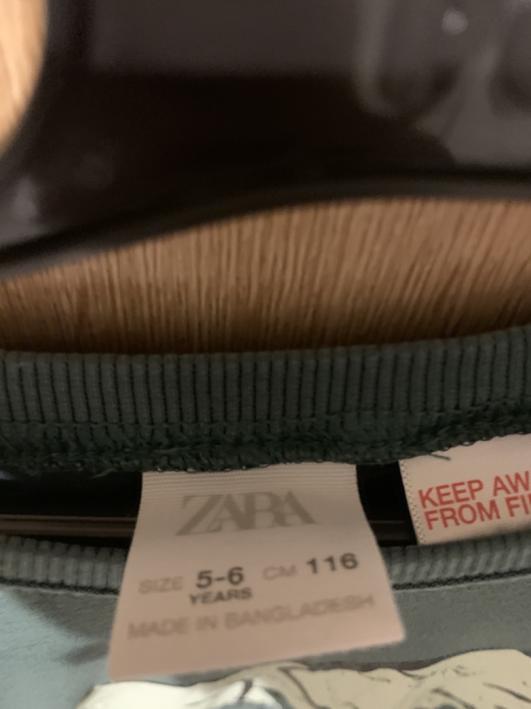 ZARA 長袖Tシャツ 116cm 恐竜柄の写真2枚目