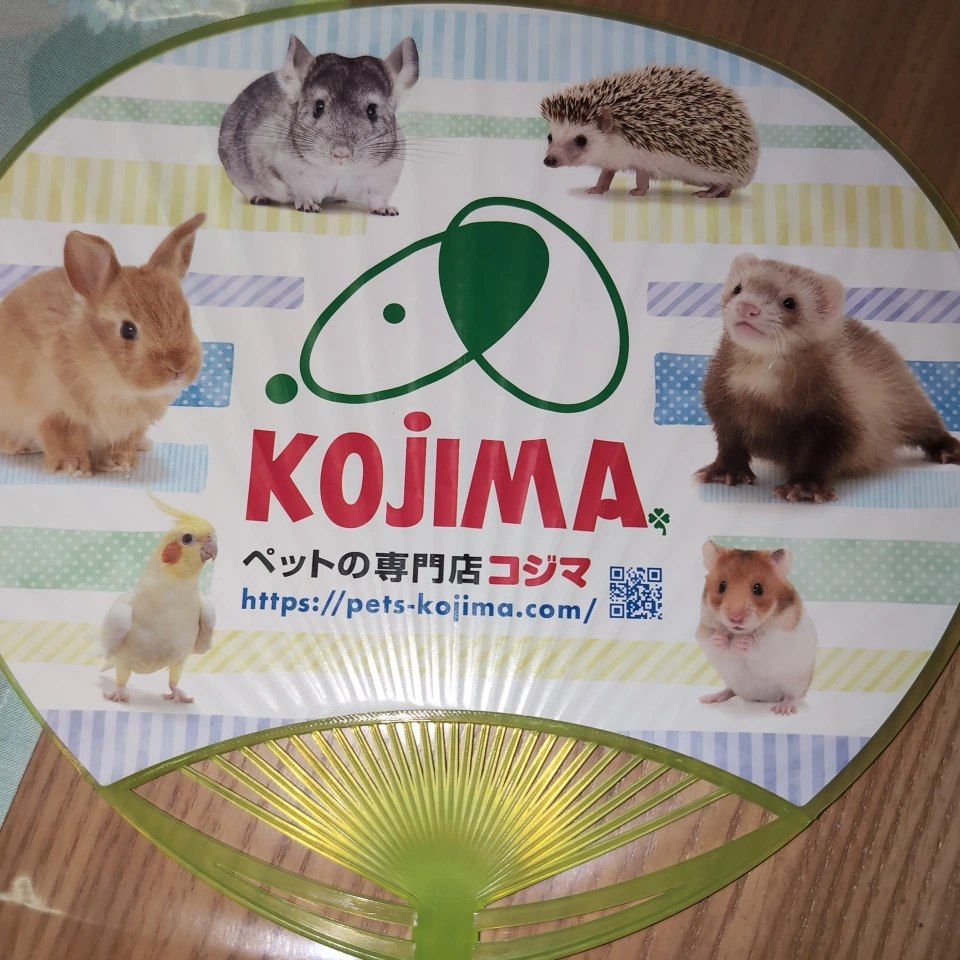 コジマ うちわ