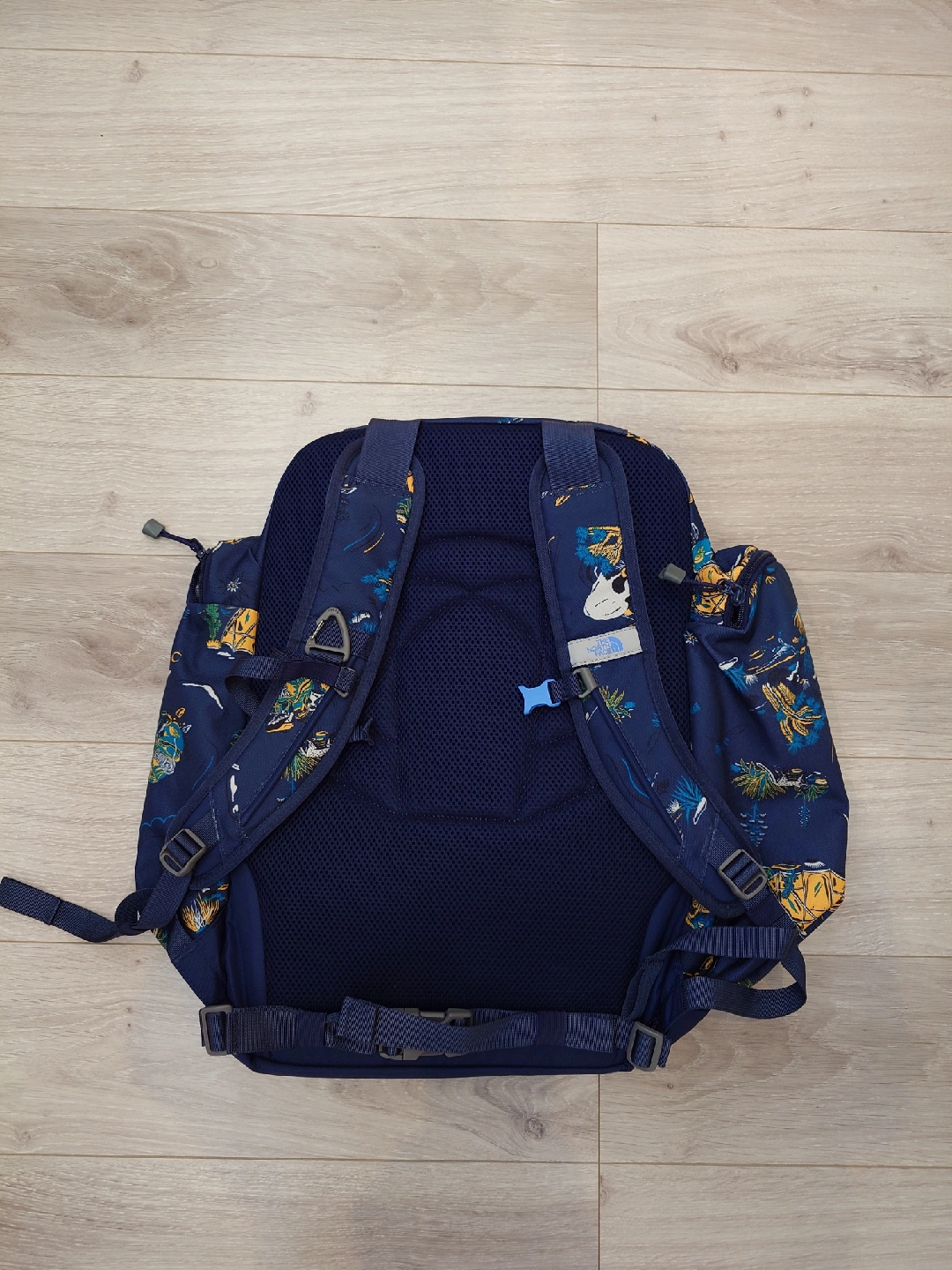 ザノースフェイス リュック Sunny Camper 40+6の写真2枚目