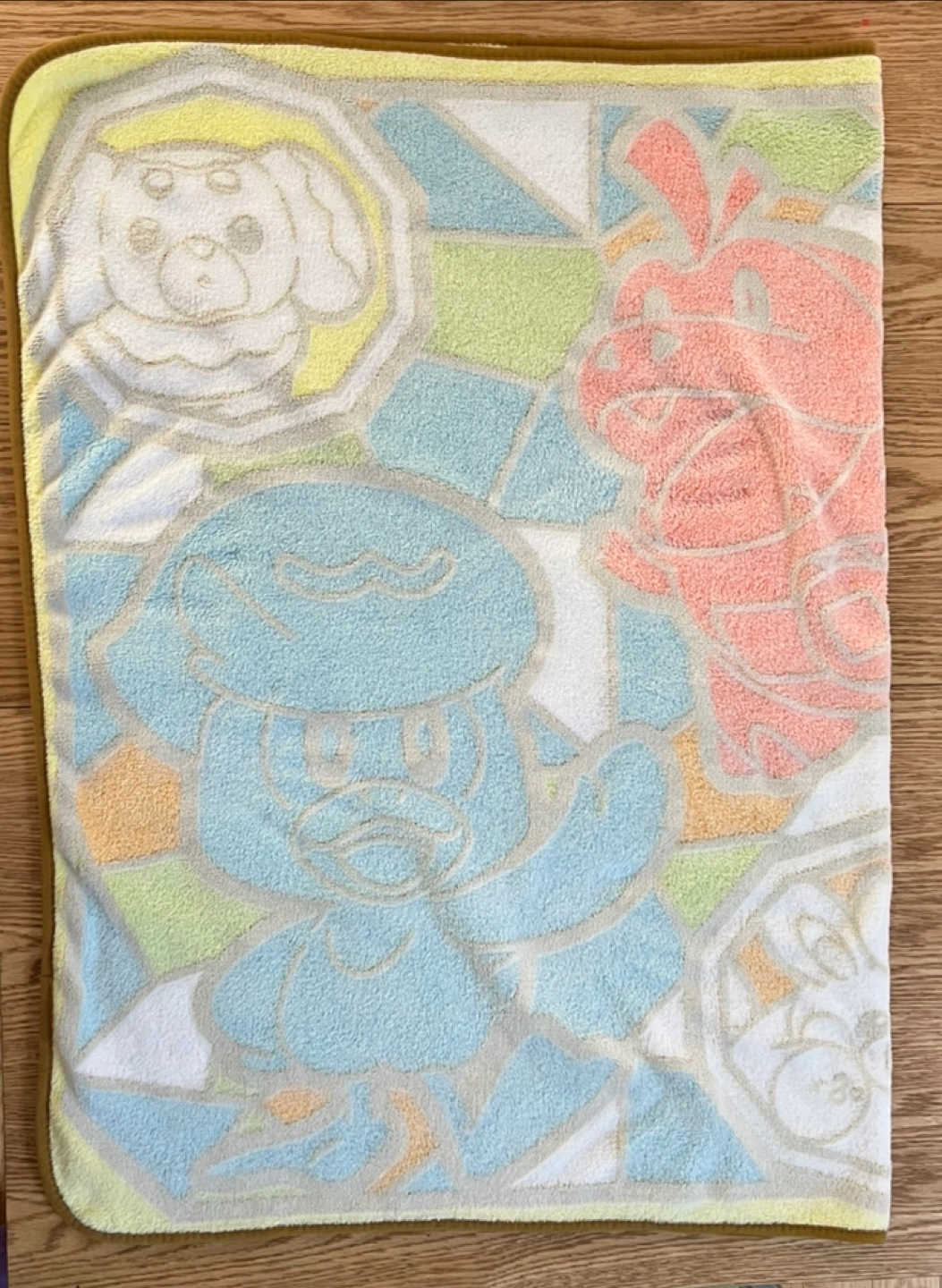 特大 ポケモン プレミアムfuwa & hugブランケットの写真6枚目