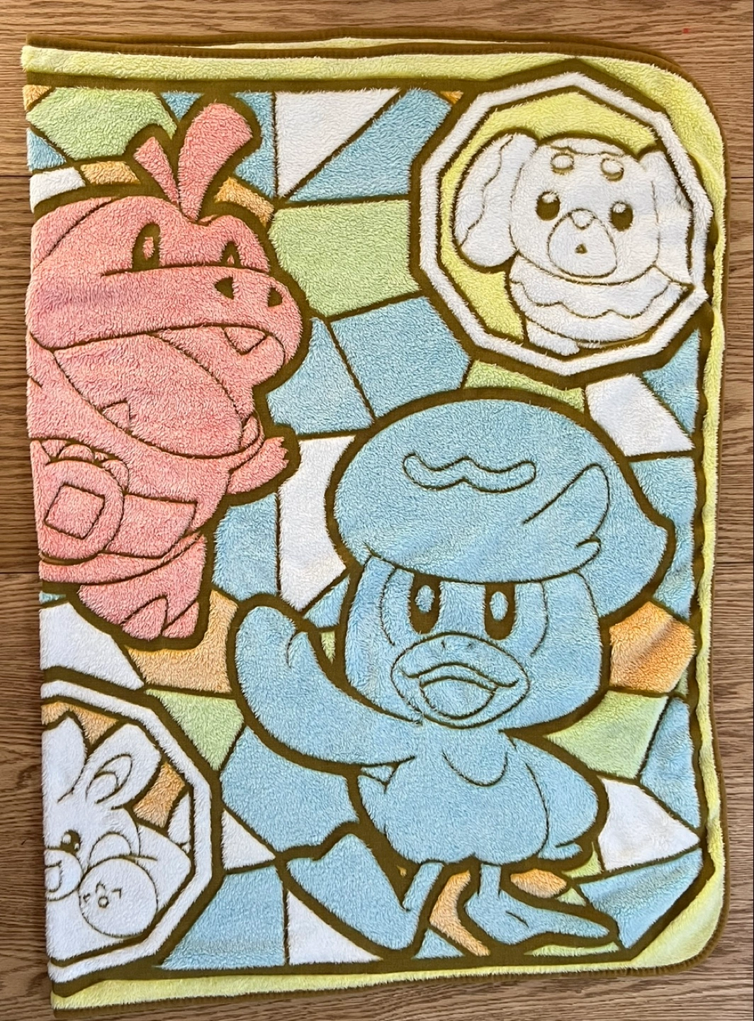特大 ポケモン プレミアムfuwa & hugブランケットの写真2枚目