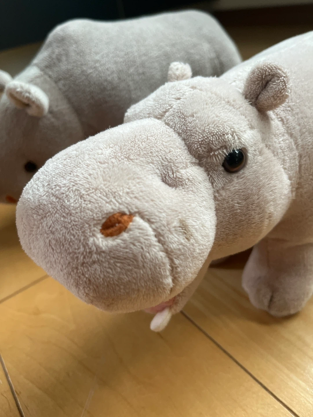 カバとサイ ぬいぐるみセットの写真4枚目