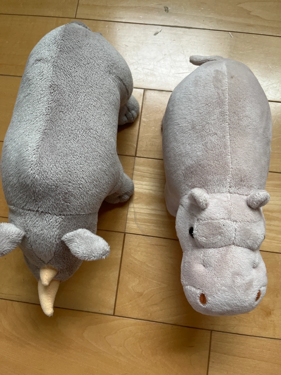 カバとサイ ぬいぐるみセットの写真3枚目