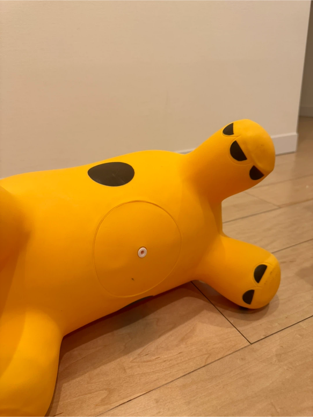 キリン ロディの写真7枚目