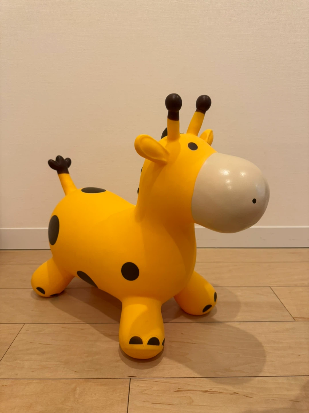 キリン ロディの写真3枚目