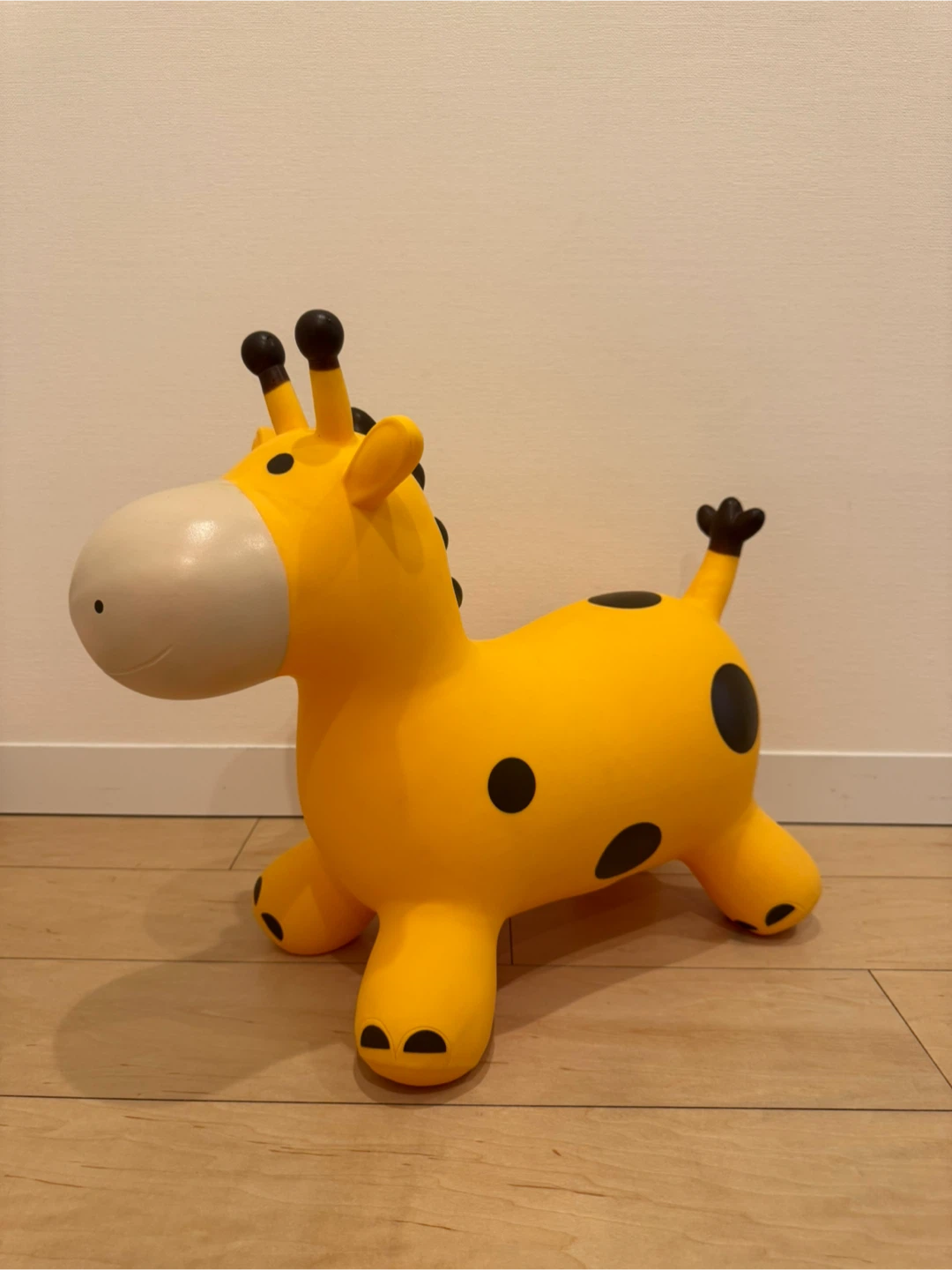 キリン ロディ