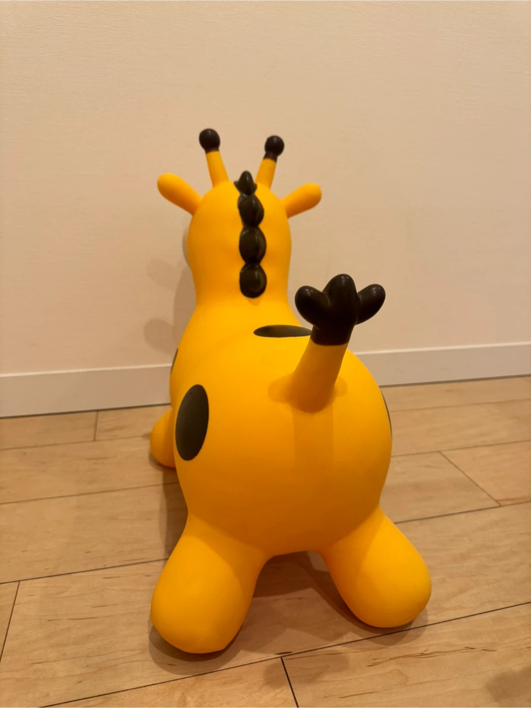 キリン ロディの写真4枚目