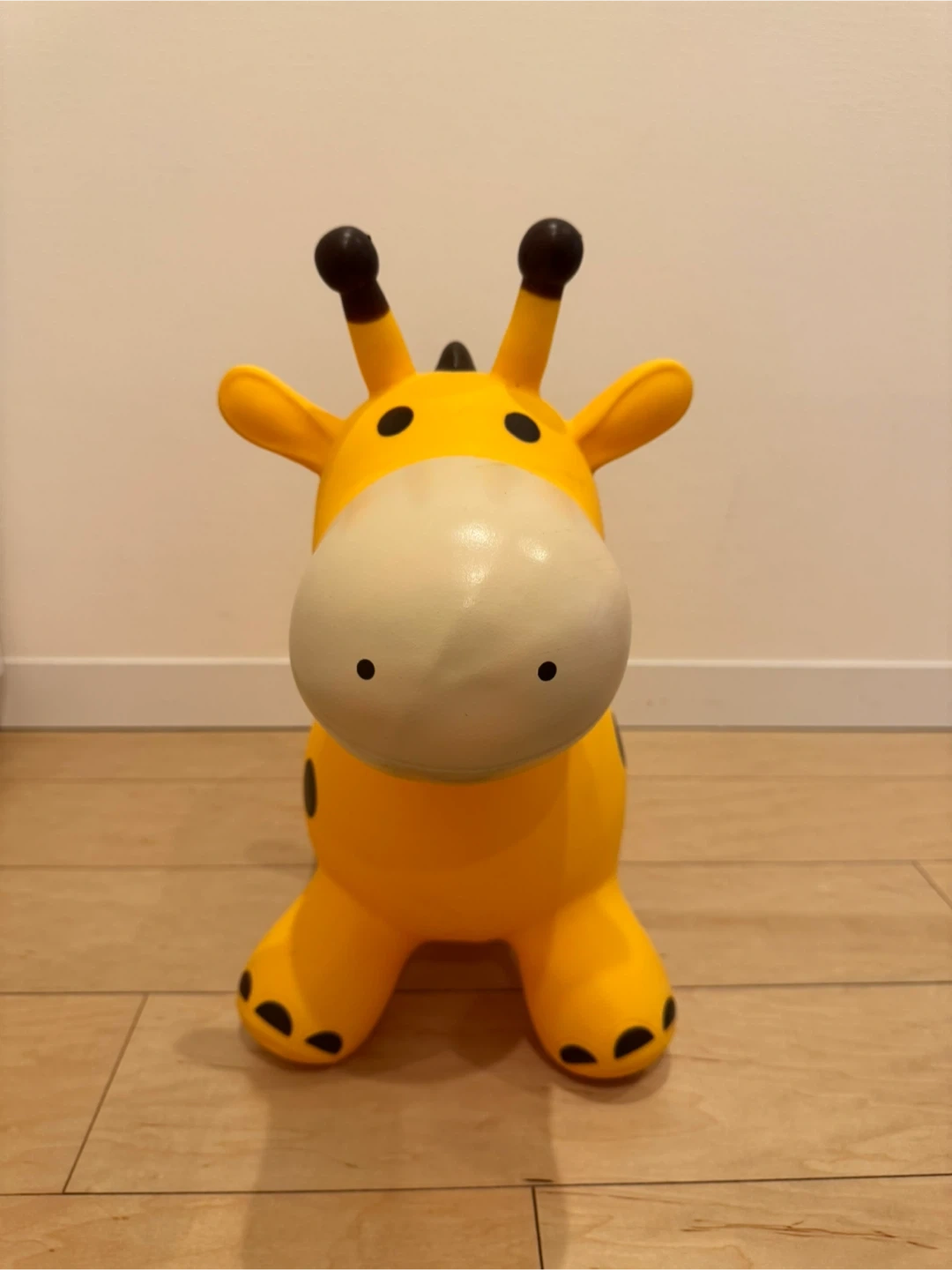 キリン ロディの写真2枚目