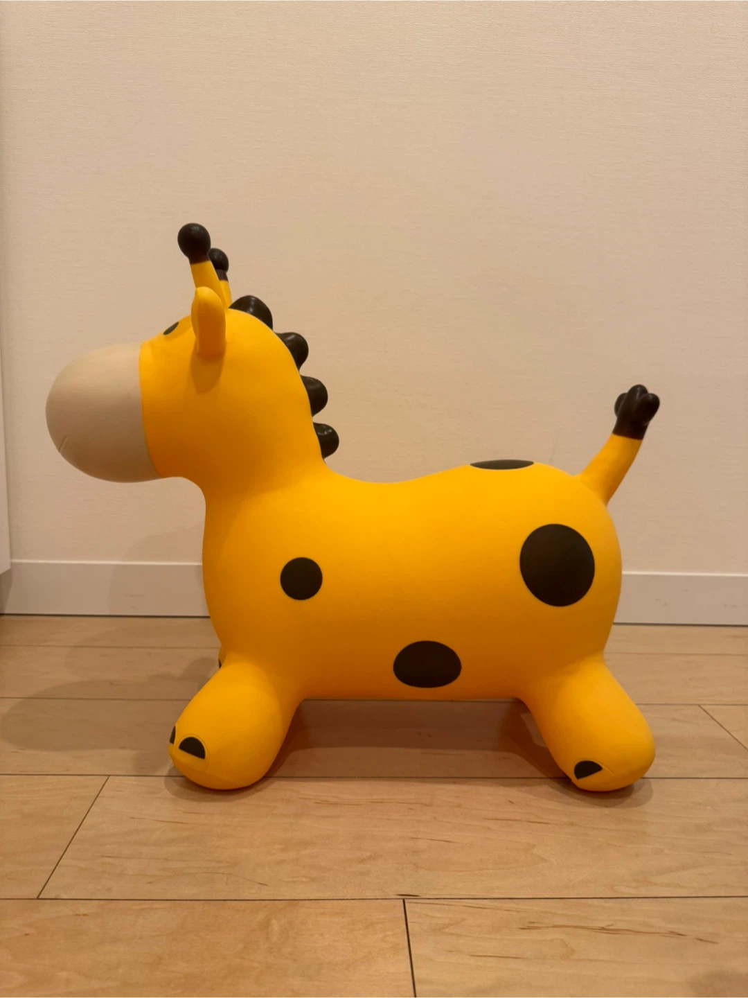 キリン ロディの写真6枚目