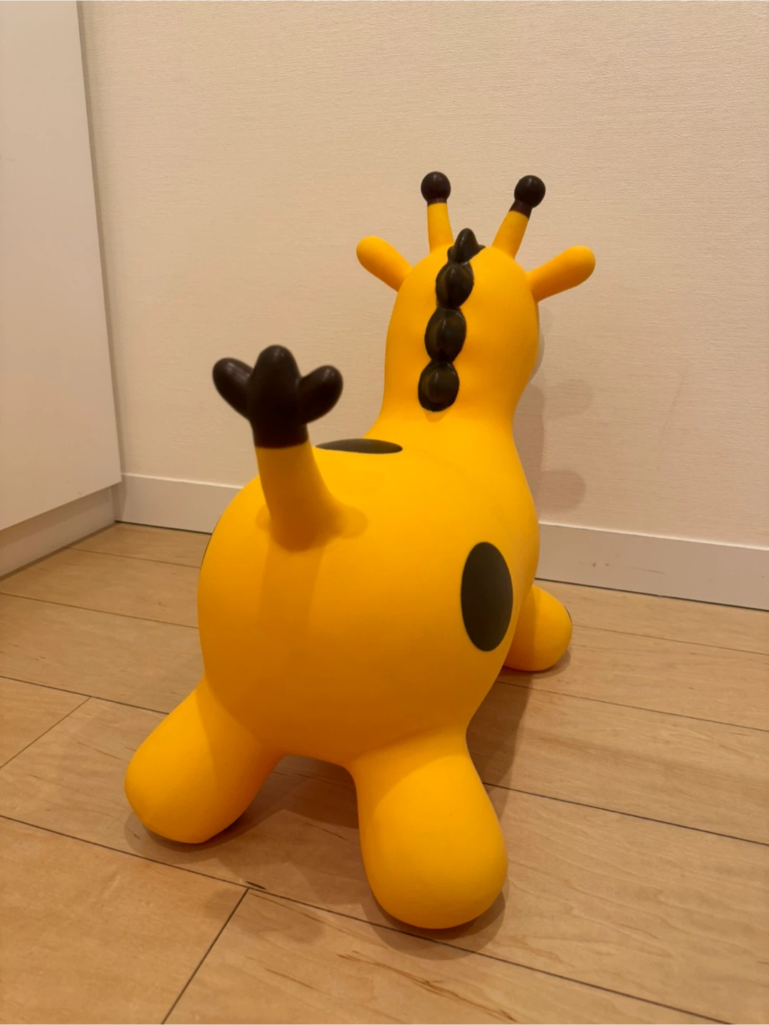キリン ロディの写真5枚目