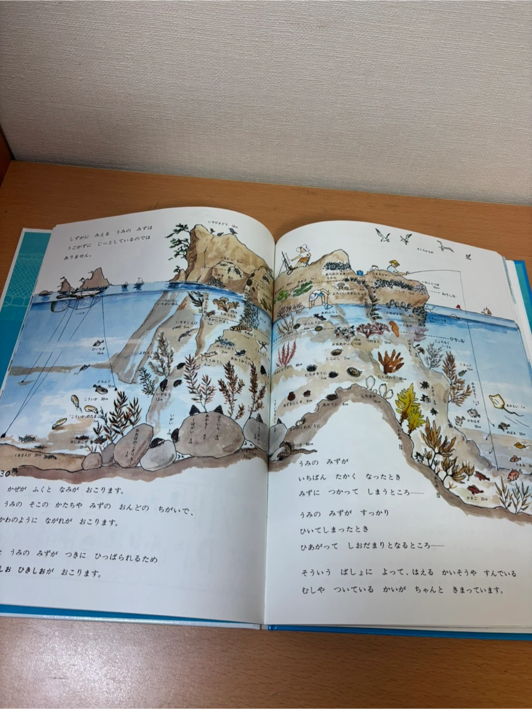 かこさとし かがくのとも絵本 3冊セットの写真7枚目