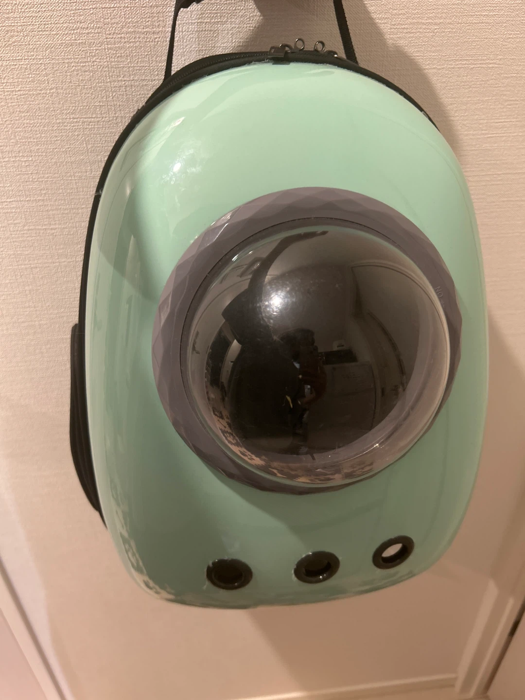 ペット用キャリーバッグ ミントグリーン