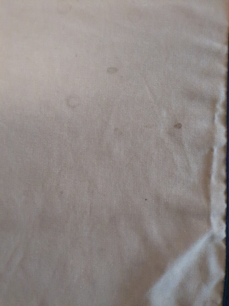 ペット用階段の写真2枚目