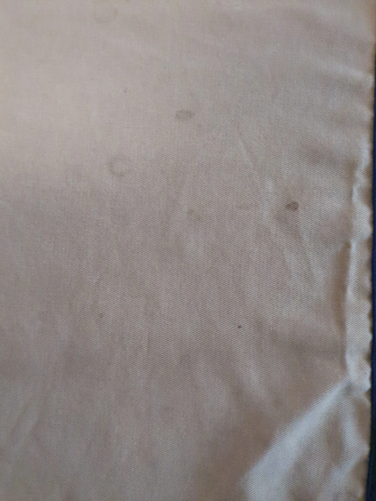 ペット用階段の写真2枚目