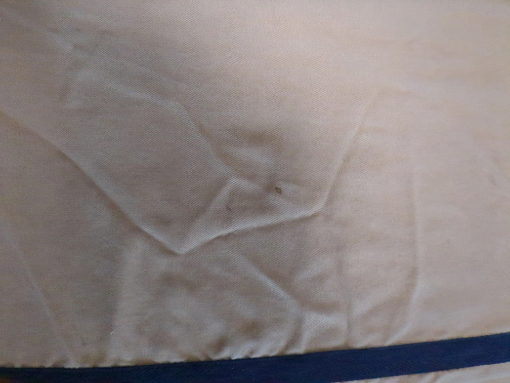 ペット用階段の写真3枚目