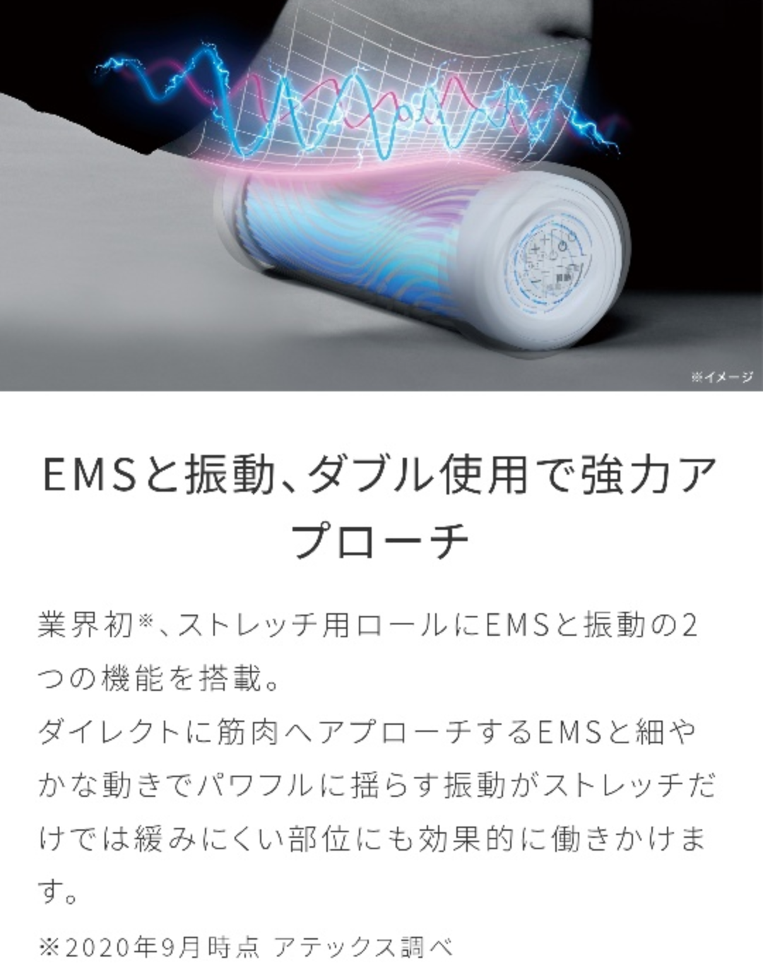 アテックス EMS エクササイズシートとEMSパワーロールセットの写真9枚目