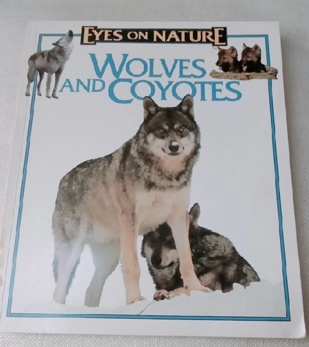 洋書 Eyes on Nature Wolves and Coyotes