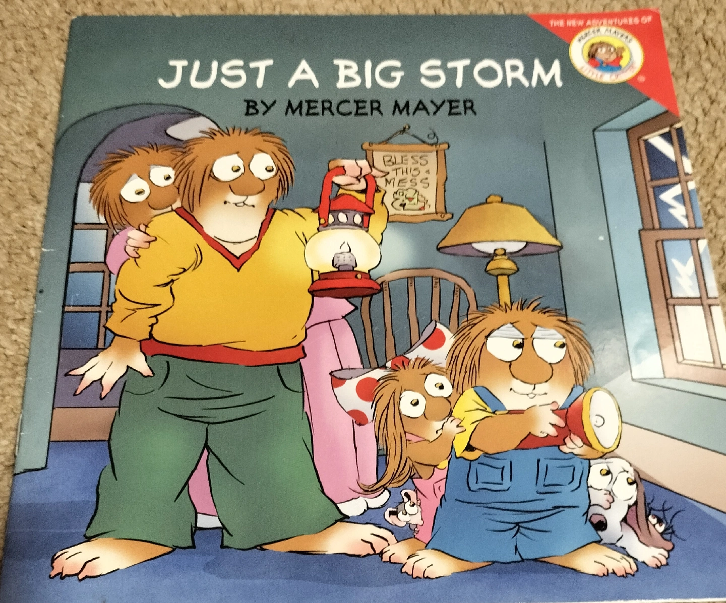 絵本 Just A Big Storm