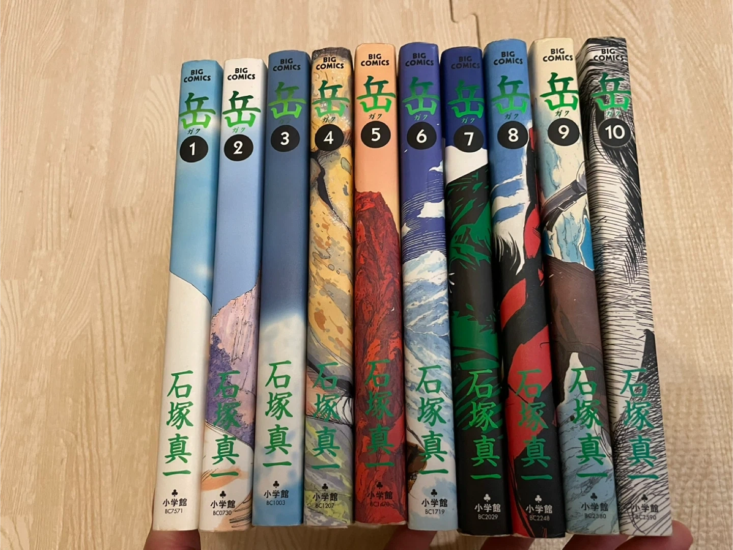 岳 BIG COMICS 10巻セット