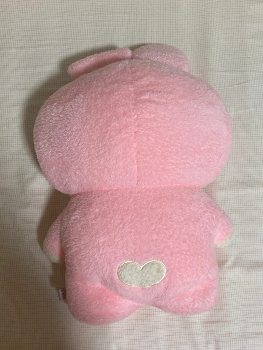 BTS BT21 COOKY ぬいぐるみの写真2枚目