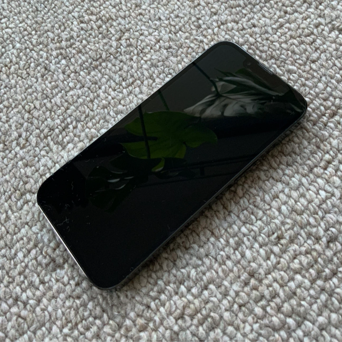 Apple iPhone 13 Pro アルパイングリーン スマホの写真2枚目