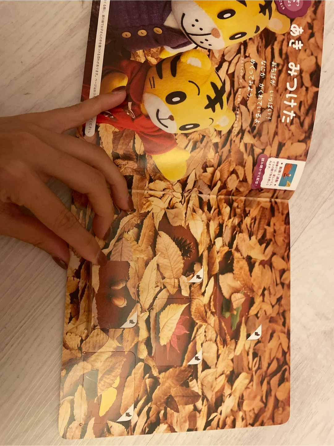 ベネッセ こどもちゃれんじ ぷち 絵本の写真2枚目
