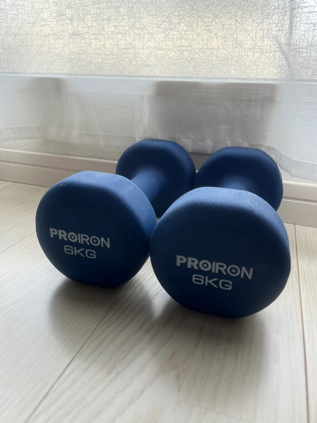 プロアイロン ダンベル 6kg 2個セット