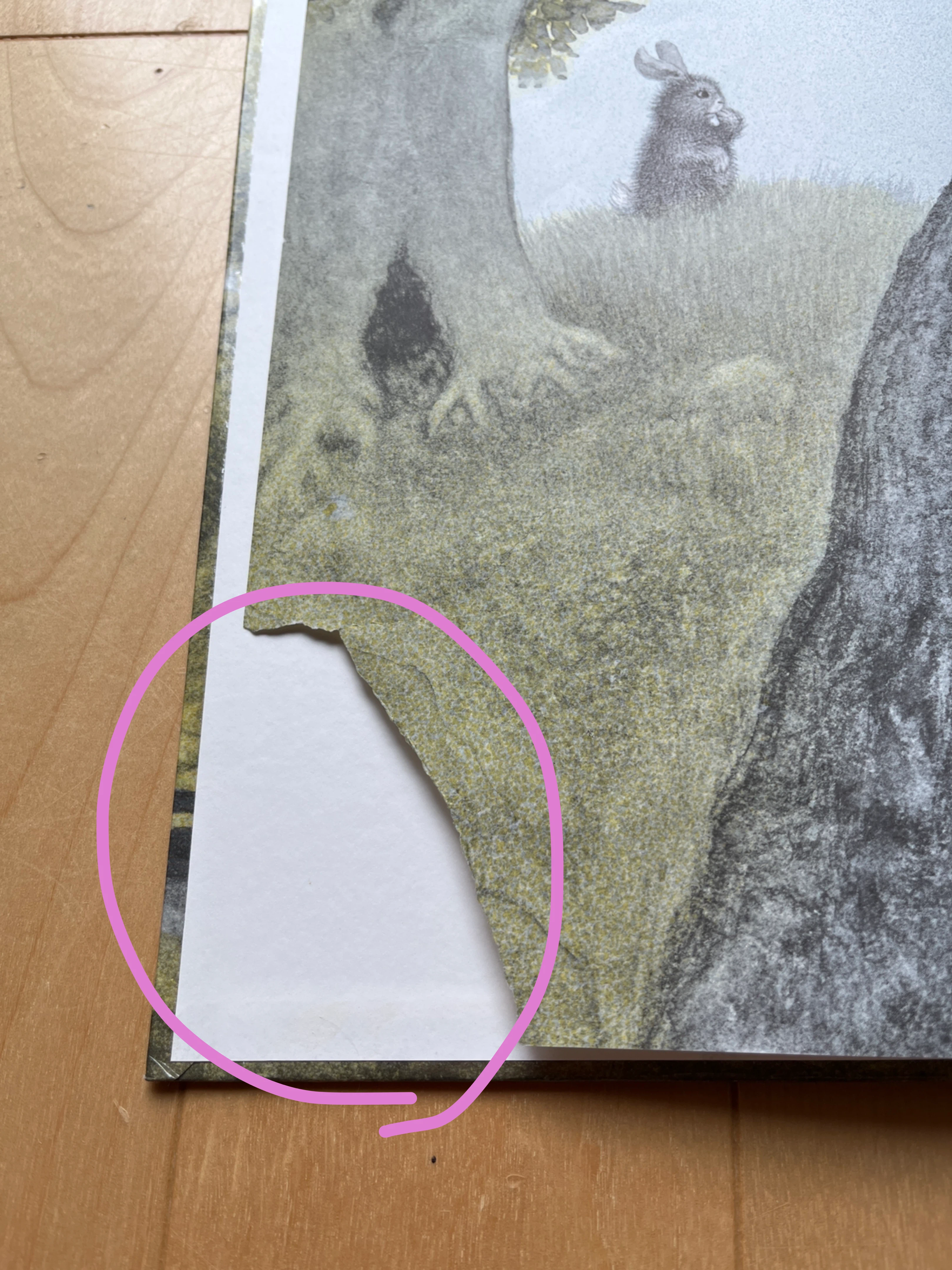 絵本　だるまさんシリーズ　ウォーリーをさがせ他の写真5枚目