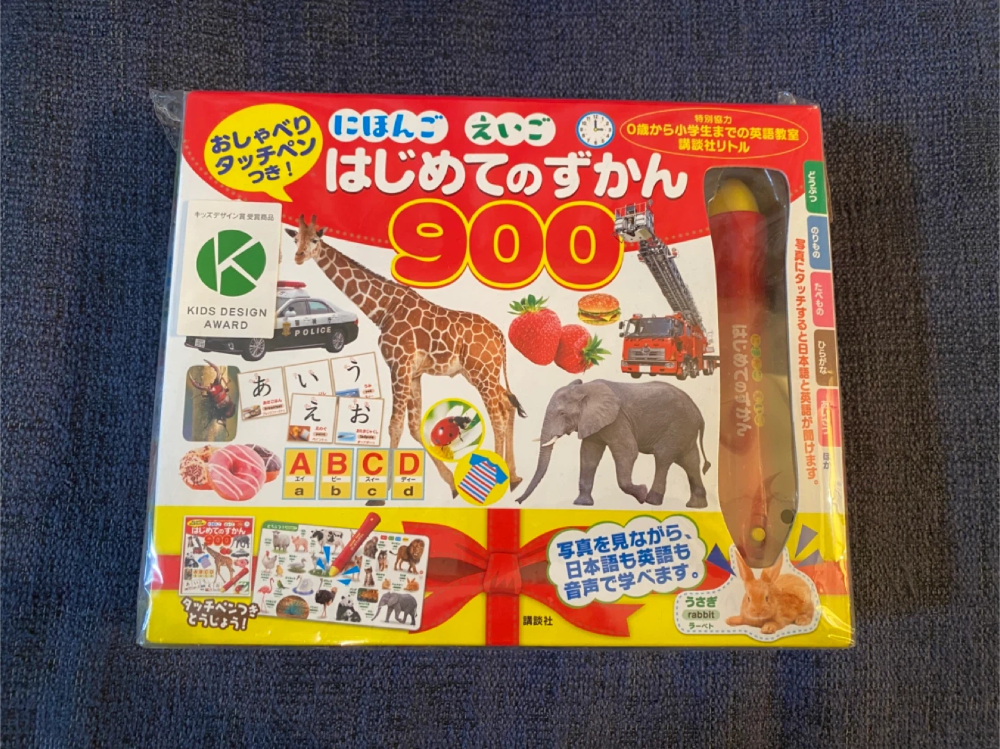 大変美品　はじめてのずかん900(日本語・英語対応)