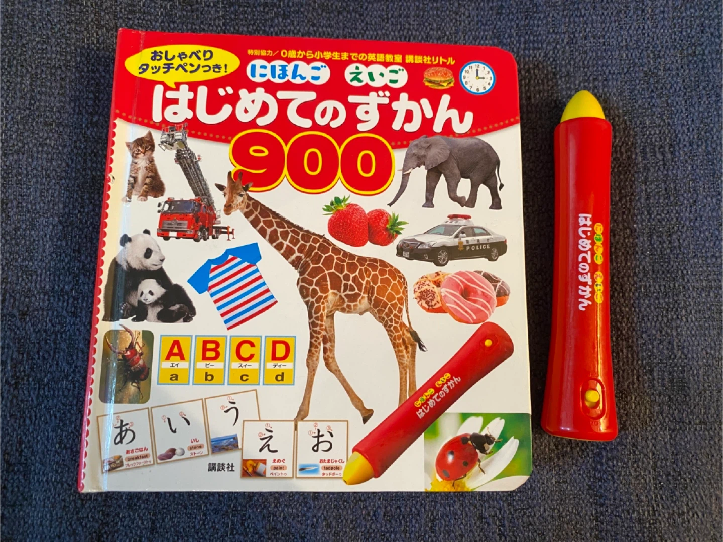 大変美品　はじめてのずかん900(日本語・英語対応)の写真3枚目