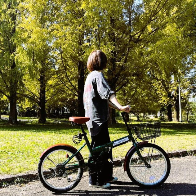 折りたたみ自転車 20インチ 6段変速 シマノ