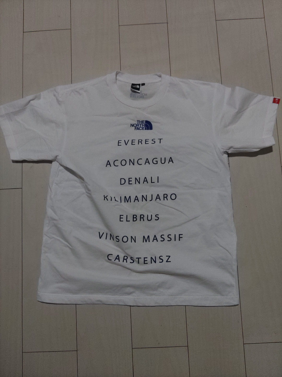 ザノースフェイス Tシャツ 白 Lサイズ NT31235