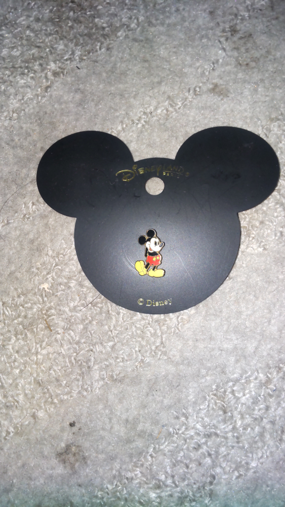 ディズニー ミッキー ピンバッジ