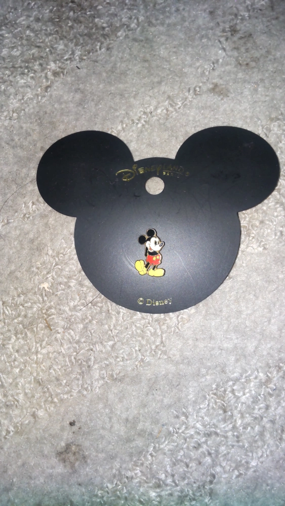 ディズニー ミッキー ピンバッジ