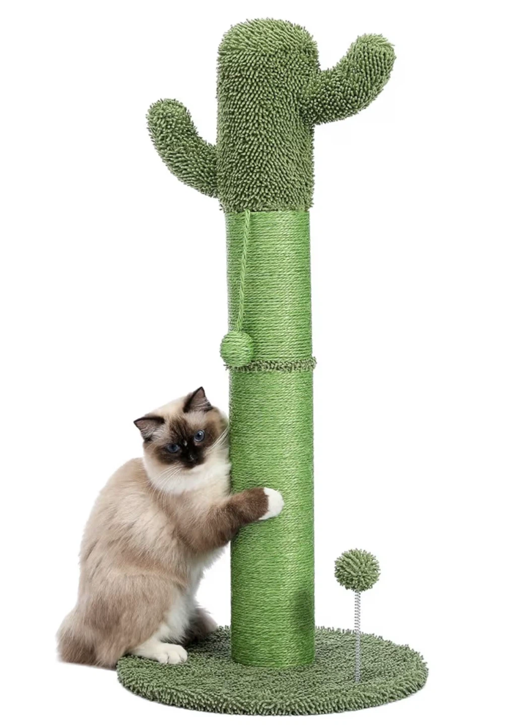 キャットタワー サボテン型