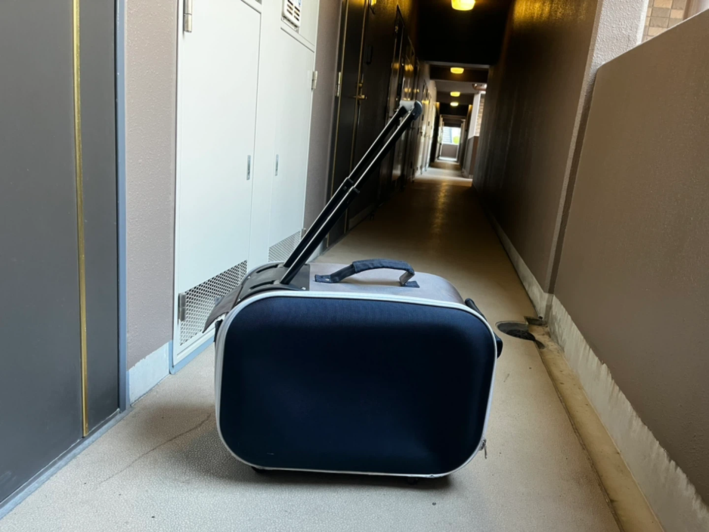 ペットキャリーバッグ