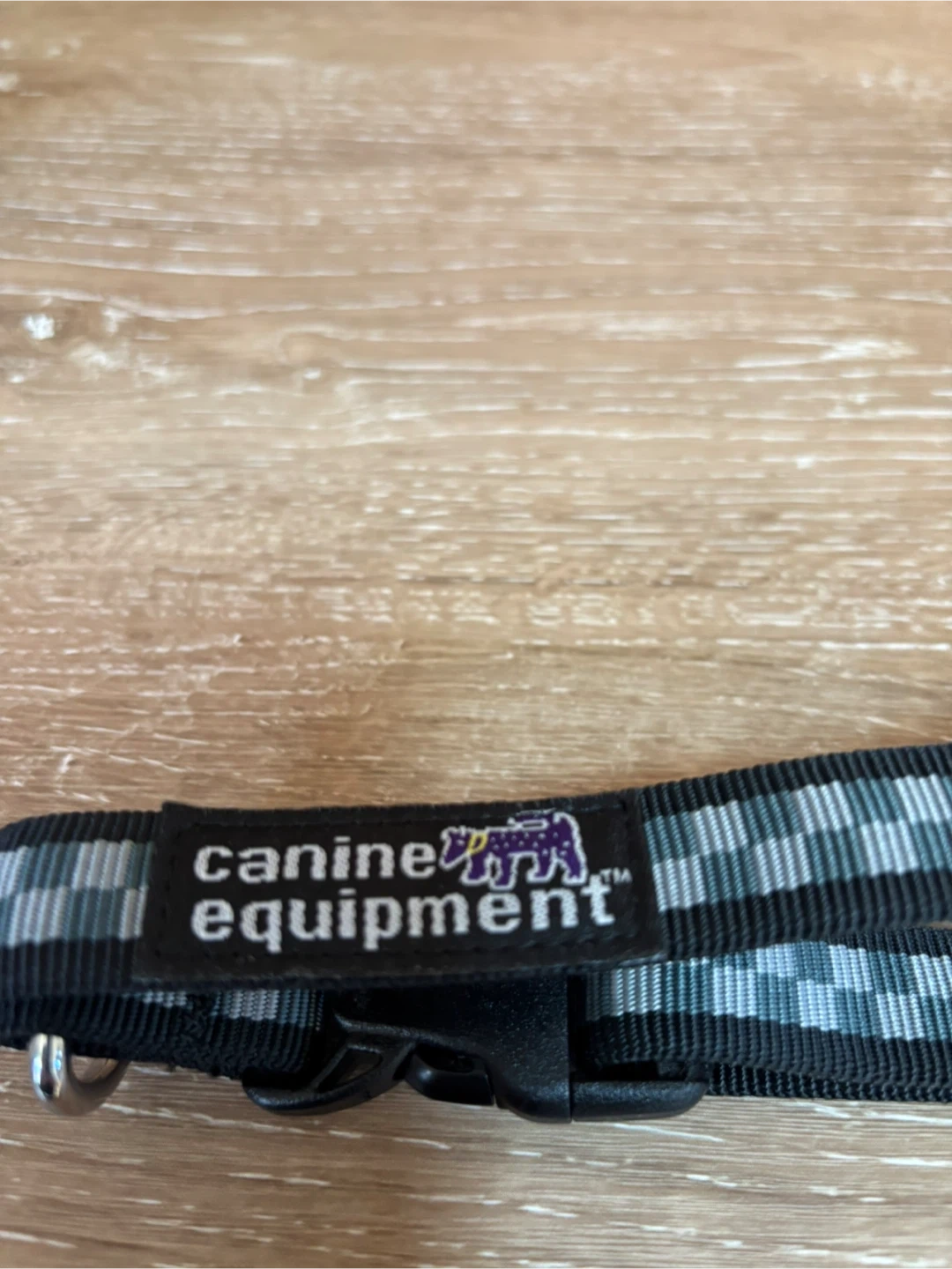 新品❣️キャニーンイクイップメント 犬用首輪の写真2枚目