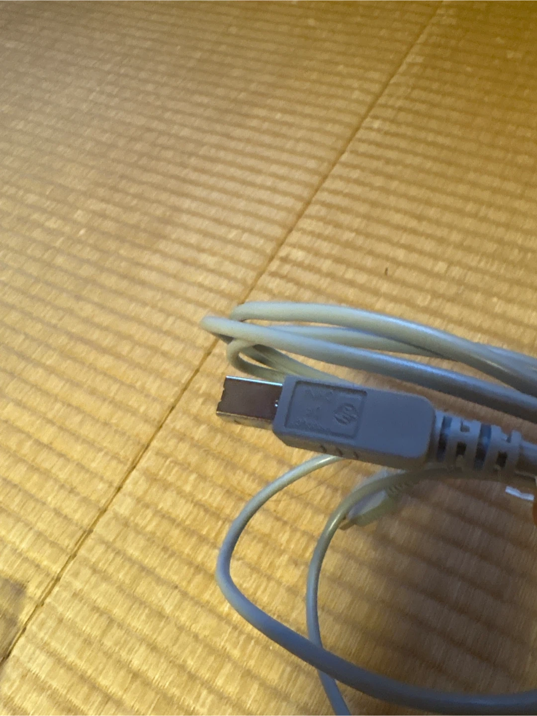 USBケーブル グレーの写真2枚目