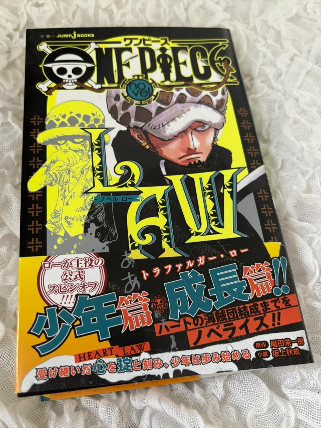 ONE PIECE novel LAW
