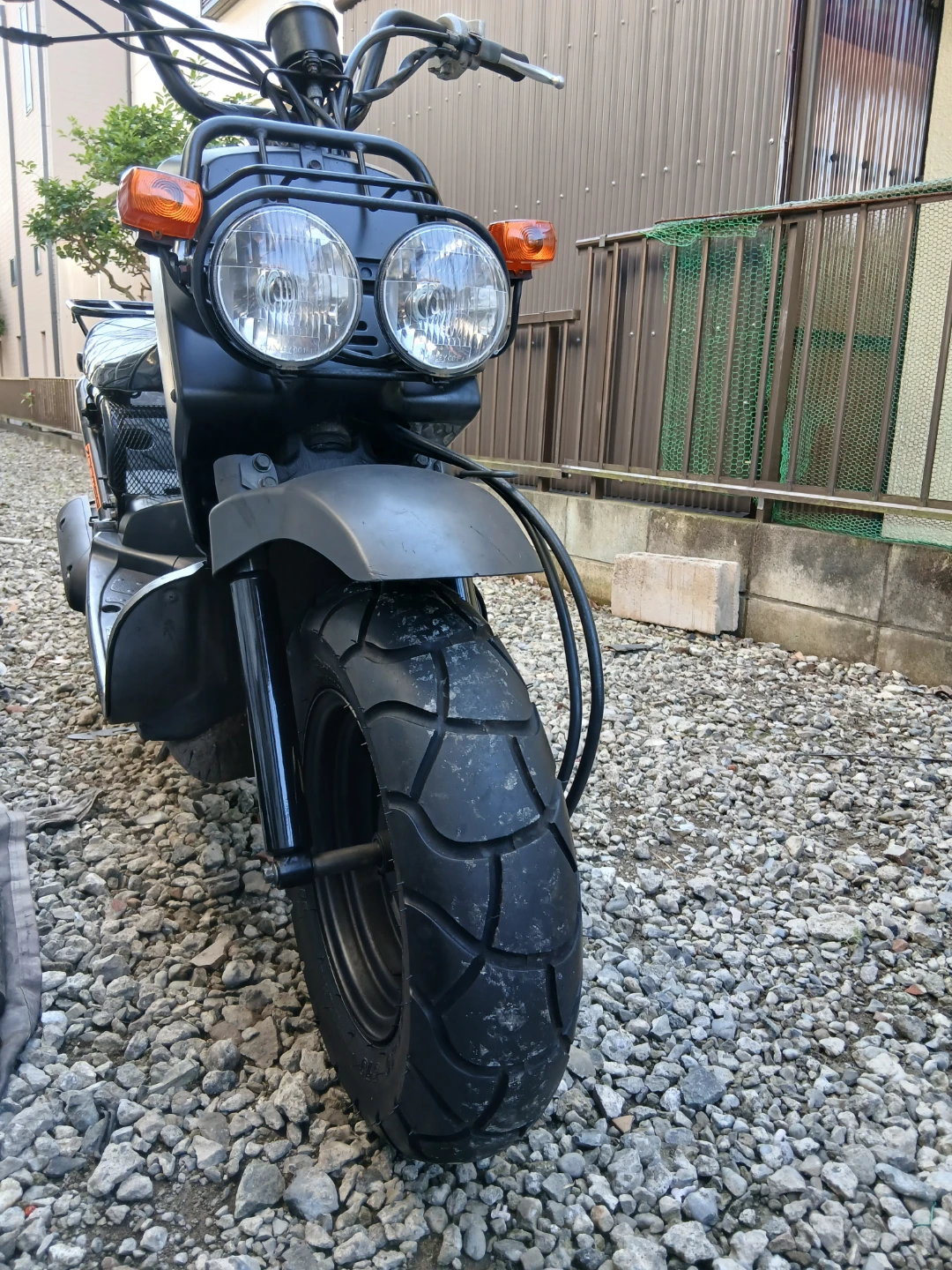 ホンダ ズーマー バイク自賠責保険付き