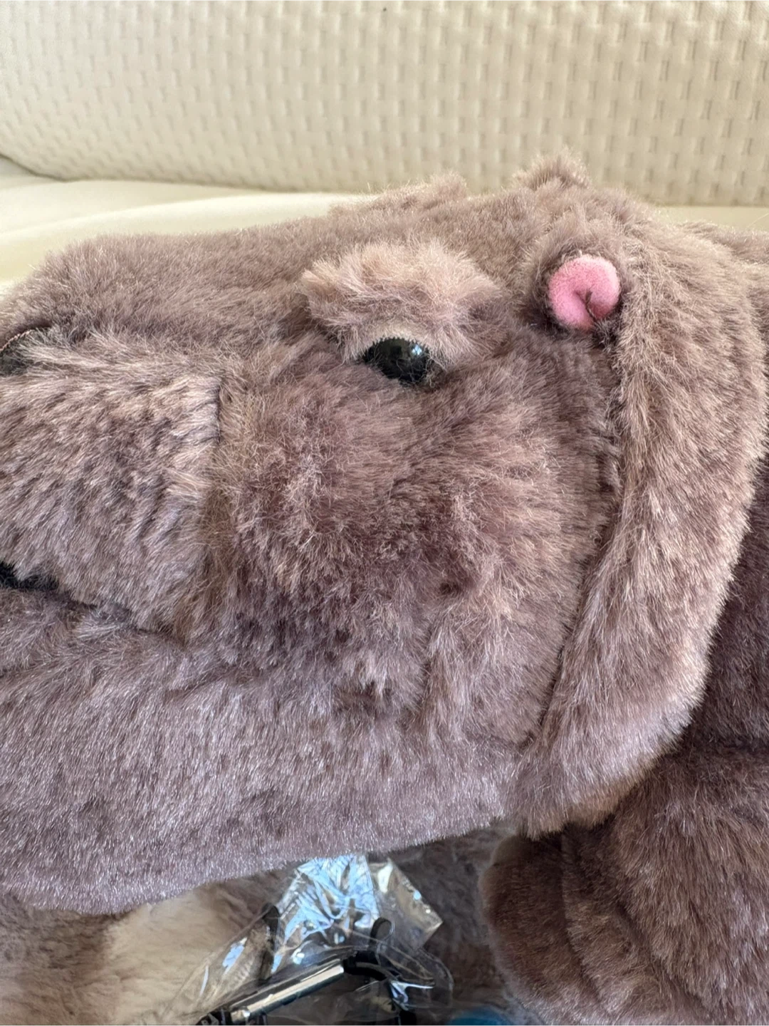 シャクレルプラネット カバ ぬいぐるみの写真5枚目