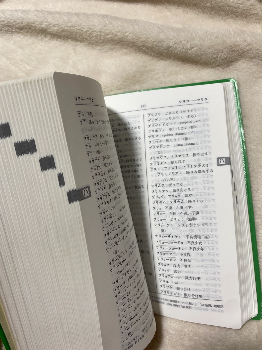 NHK 日本語発音アクセント辞典の写真4枚目