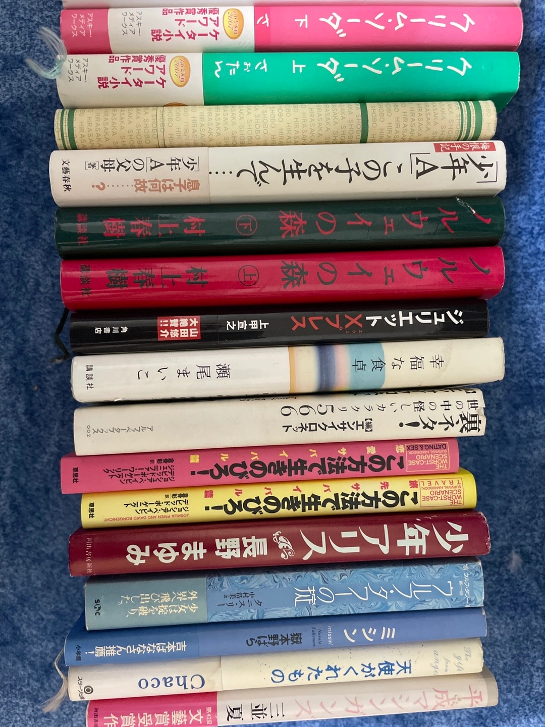 書籍 どれでも20円の写真2枚目