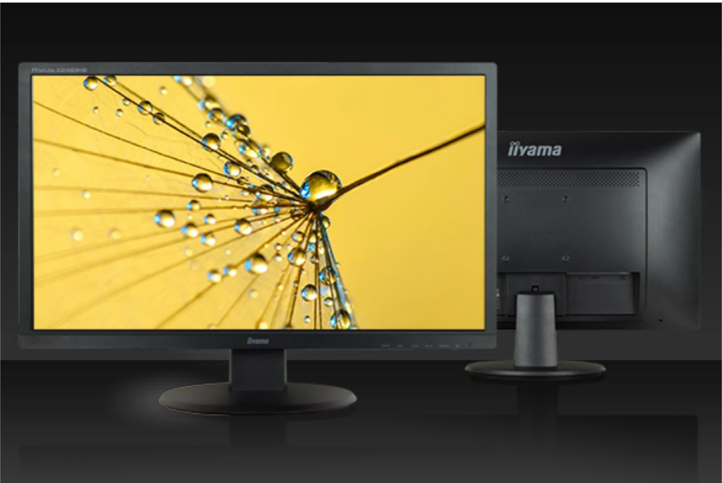 イイヤマ 液晶モニター ProLite E2483HSの写真3枚目