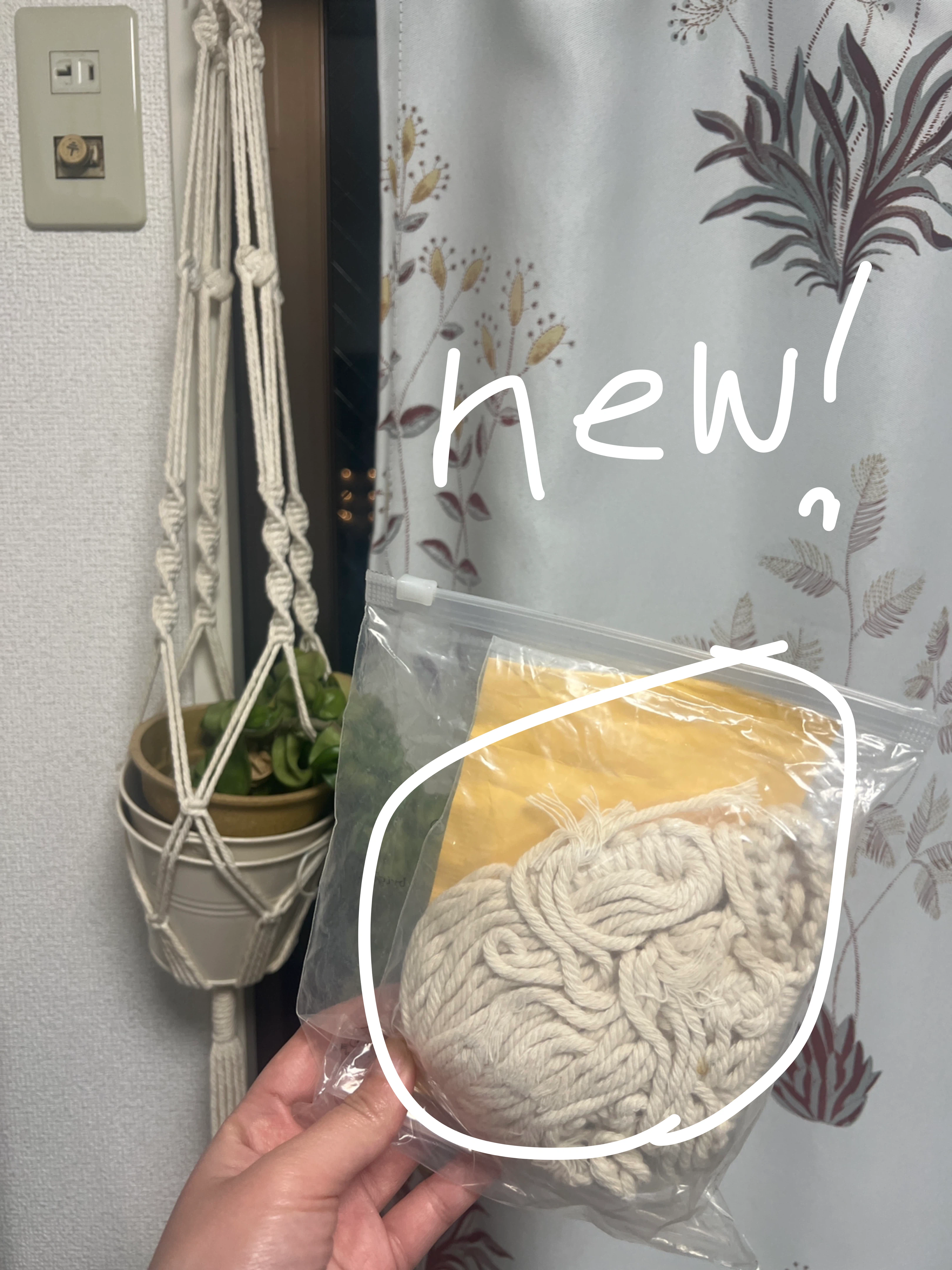 植物のための家の装飾