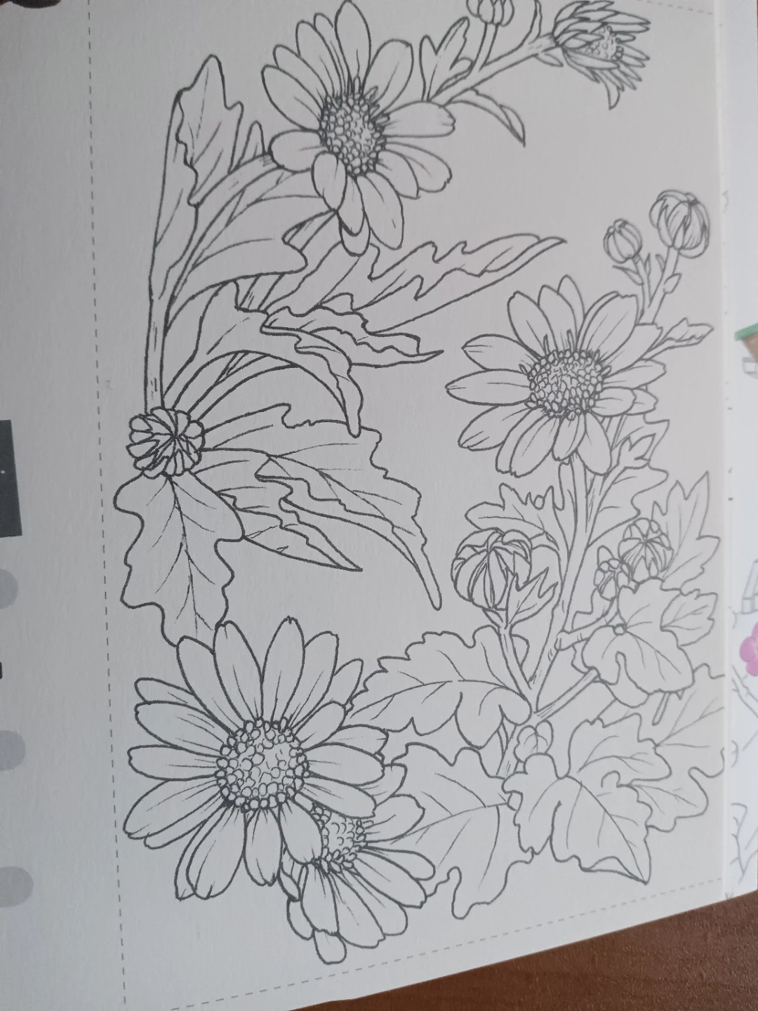 脳がみるみる若返るぬり絵 名所と花々の写真4枚目