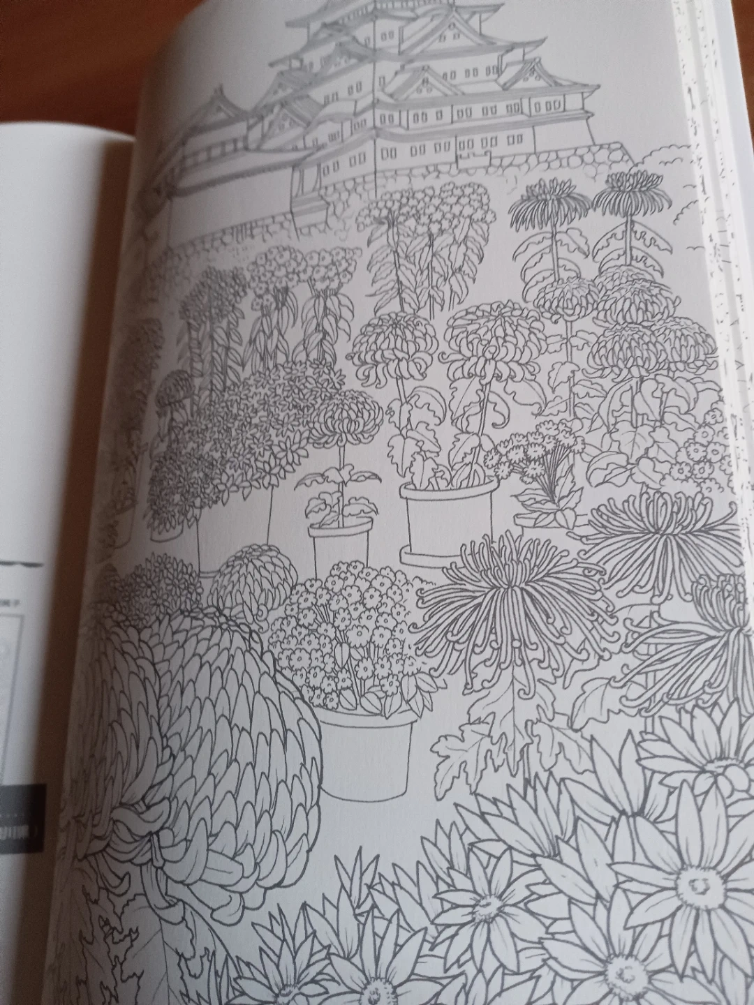脳がみるみる若返るぬり絵 名所と花々の写真3枚目