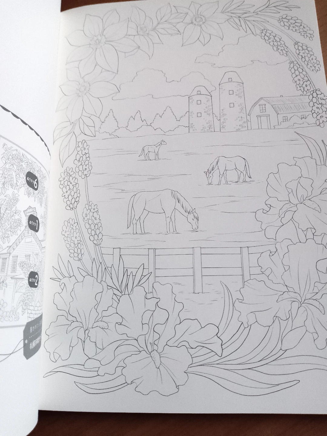脳がみるみる若返るぬり絵 名所と花々の写真5枚目