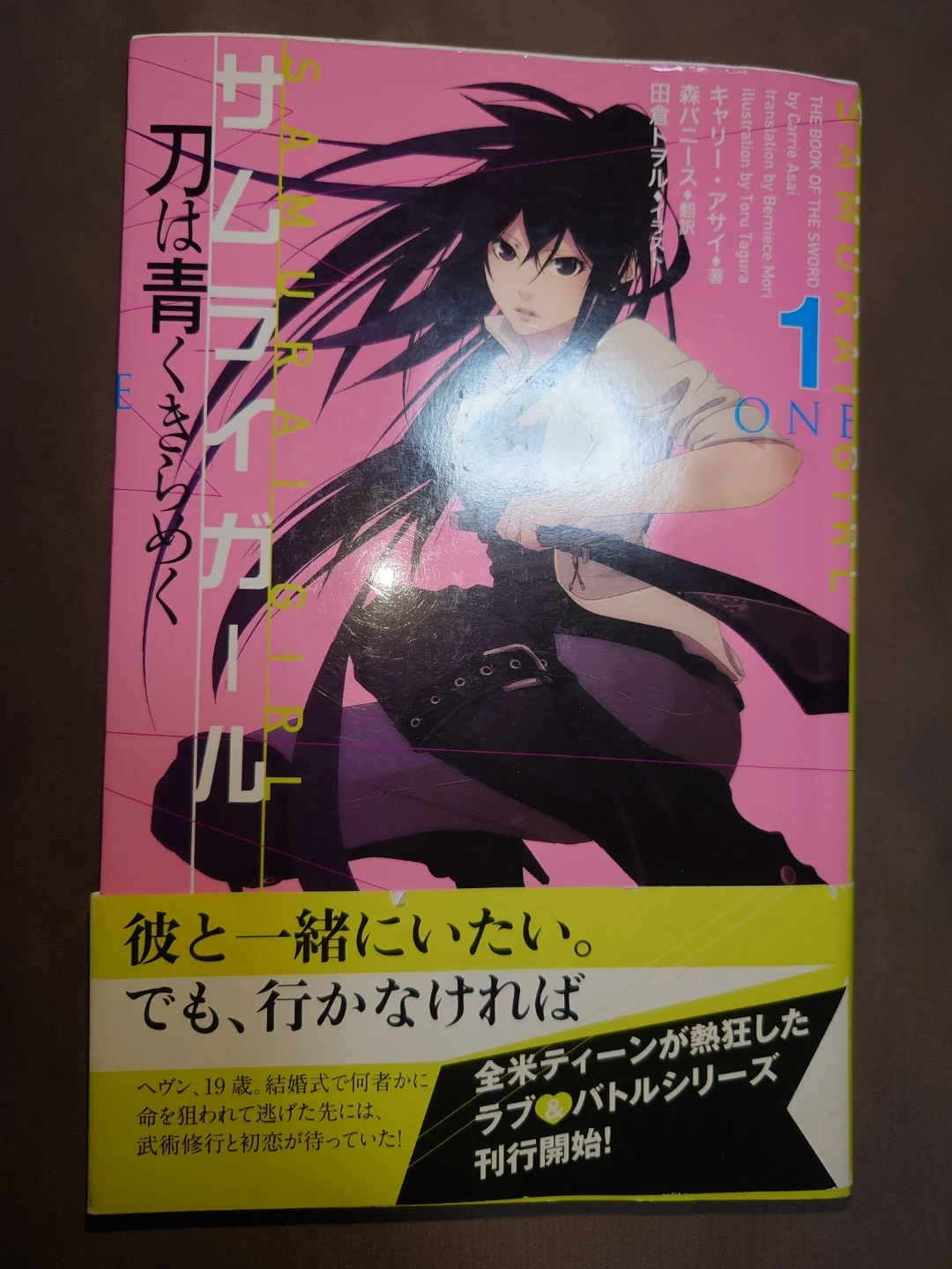小説 サムライガール 他の小説何冊かも無料出品中 他の有料商品とまとめて取引の場合のみ取引可能 プロフィール必読